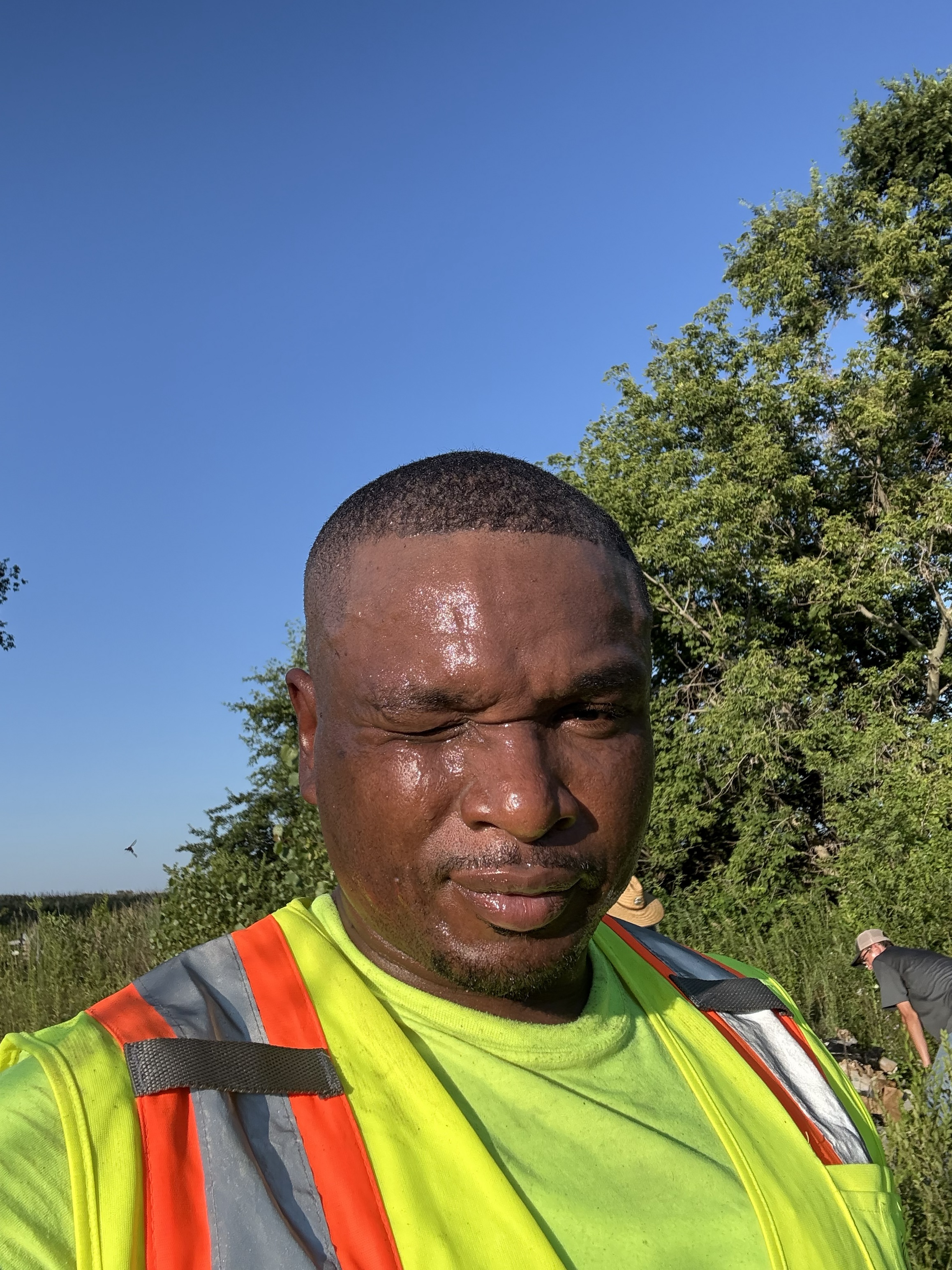 Solar field remediation and inspection work